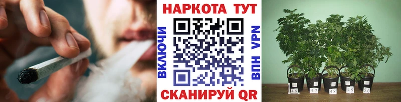 Купить наркотики цена Барыш Гашиш  Каннабис  COCAIN  Alpha PVP  Меф мяу мяу 
