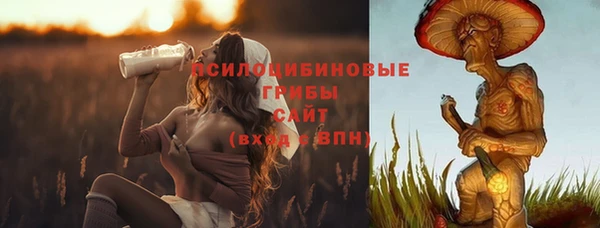 ALPHA-PVP Аркадак