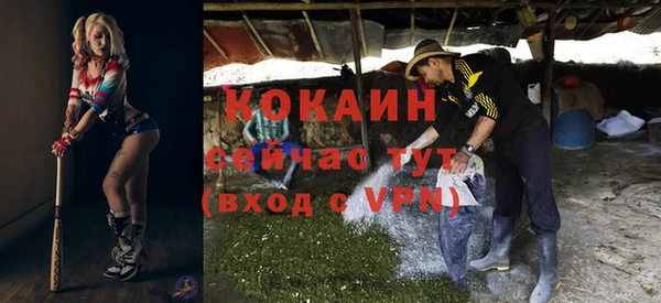 винт Арсеньев