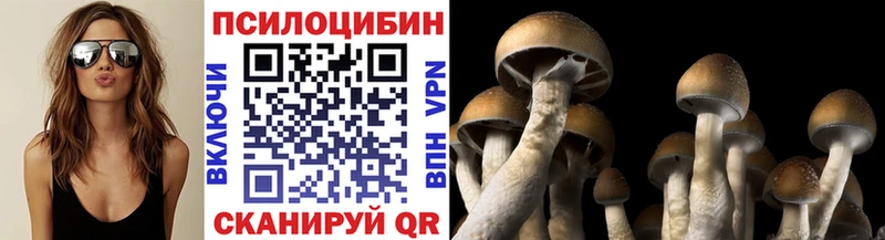 Галлюциногенные грибы ЛСД магазин Барыш
