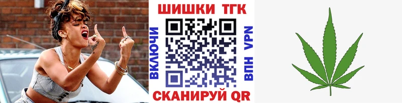 закладка  Барыш  Шишки марихуана индика 